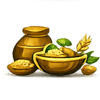Ancient Nutrition