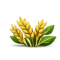 Natural Grains